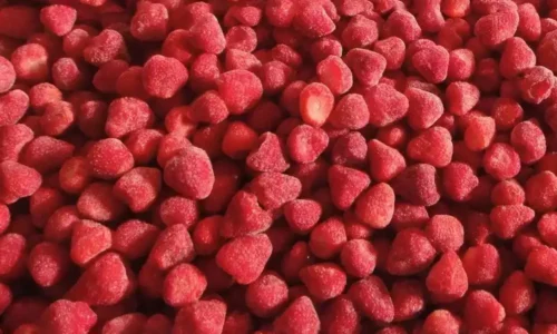 IQF Strawberries vs. Fresh and Traditional Frozen Strawberries: Why Green Nile Leads the Way