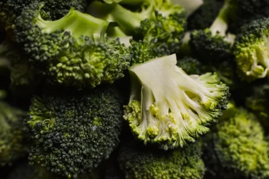Green Nile’s IQF Broccoli: The Freezer Staple You Didn’t Know You Needed