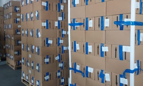 Green Nile Exports Frozen Mango, Strawberry & Guava to Dubai – Our Latest Milestone