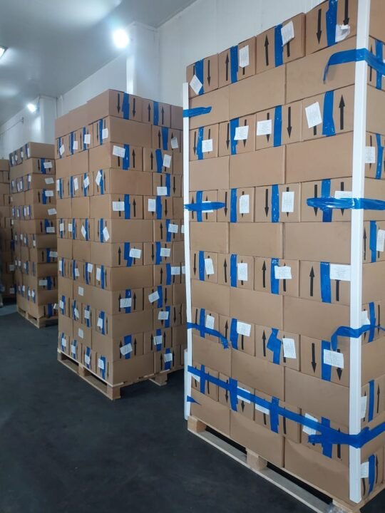 Green Nile Exports Frozen Mango, Strawberry & Guava to Dubai – Our Latest Milestone